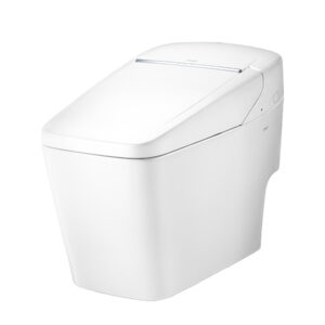 C10217 Bàn cầu điện tử