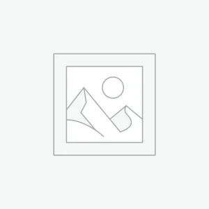 Bồn cầu điện tử